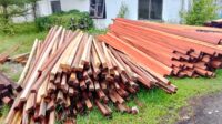 IMG-20260227-WA0035